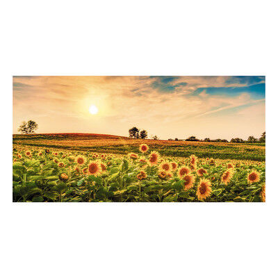 Inspire Quadro su tela Sunflowers field 50x100 cm