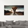 Artland Print op glas Een olifant loopt op de weg bruin 80 cm x 60 cm