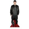 empireposter Eminem Prominente Star VIP kartonnen display Standy 64x181 cm