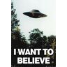 empireposter X-Files I Want to Believe UFO filmposter bioscoopfilm X-files Science Fiction Sci Fi 61 x 91,5 cm