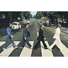 Grupo Erik The Beatles Abbey Road Poster, 61 x 91,5 cm