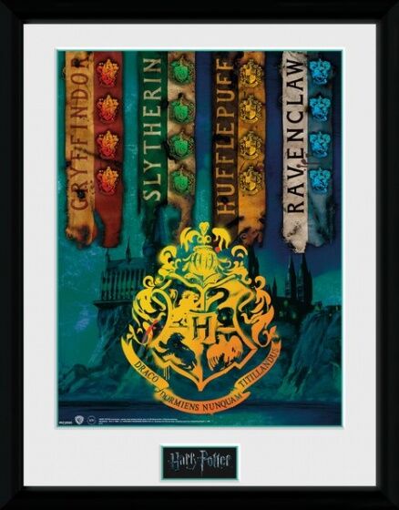 GB Eye poster in lijst Harry Potter House Flags 30 x 40 cm - Zwart