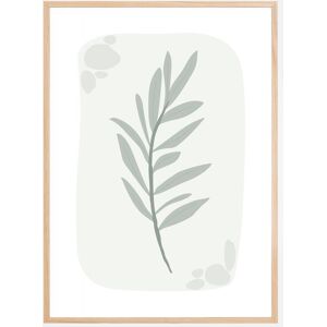 SANNY Formgivare Olive Plakat (21x29.7 Cm (A4))