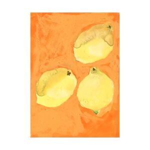 Paper Collective Lemons poster 50x70 cm