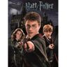 Harry Potter Harry, Ron And Hermione Print