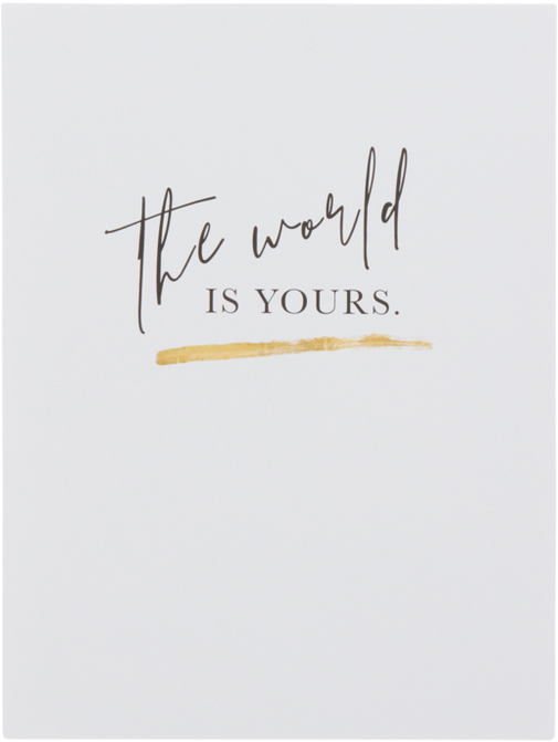 THE WORLD IS YOURS poster 30x40 cm Svart/hvit