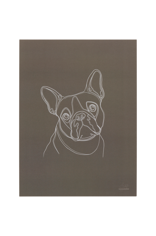 BULLDOG PORTRAIT poster 30x40 cm Mørk beige