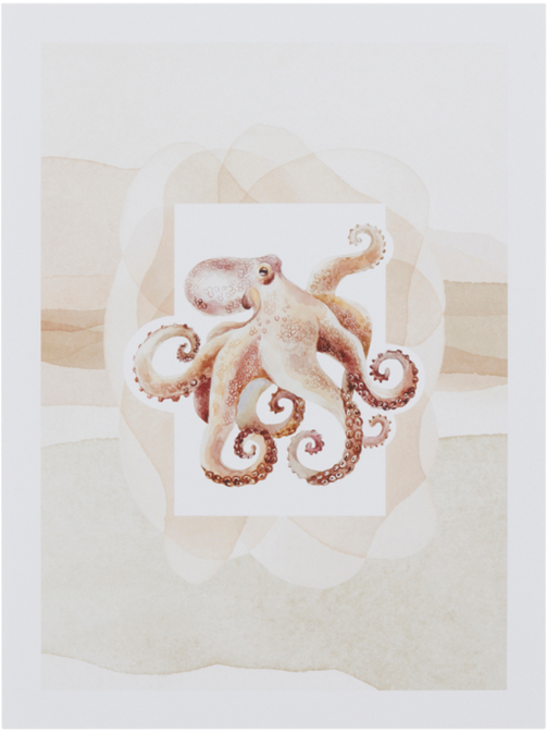 OCTOPUS poster 30x40 cm Beige/rosa