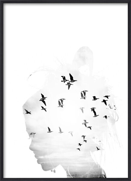 Lagervaror egen produktion Bird Head B&w; Plakat (50x70 Cm)
