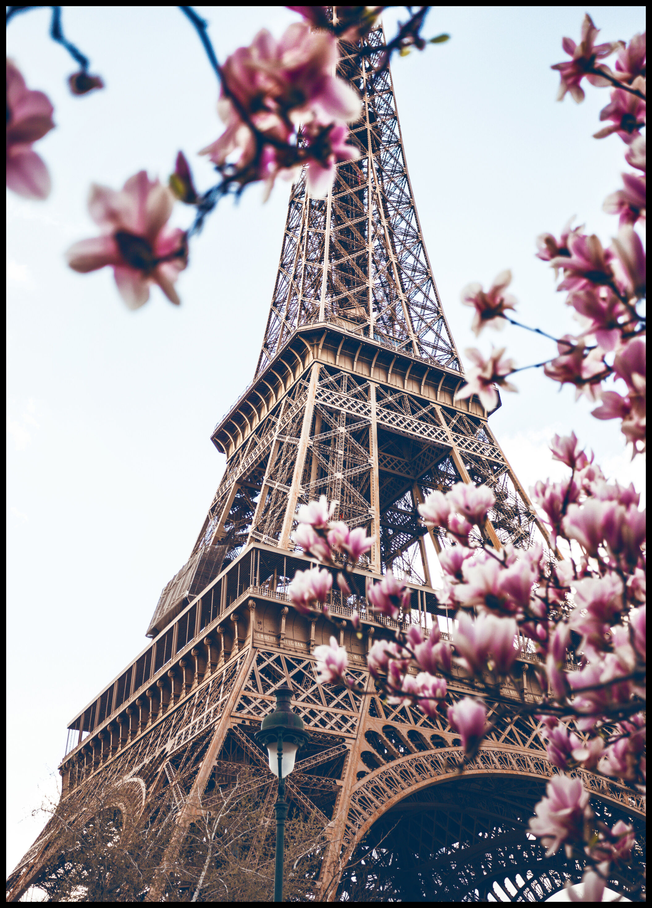 Lagervaror egen produktion Eiffel Tower Blossoms Plakat (30x40 Cm)