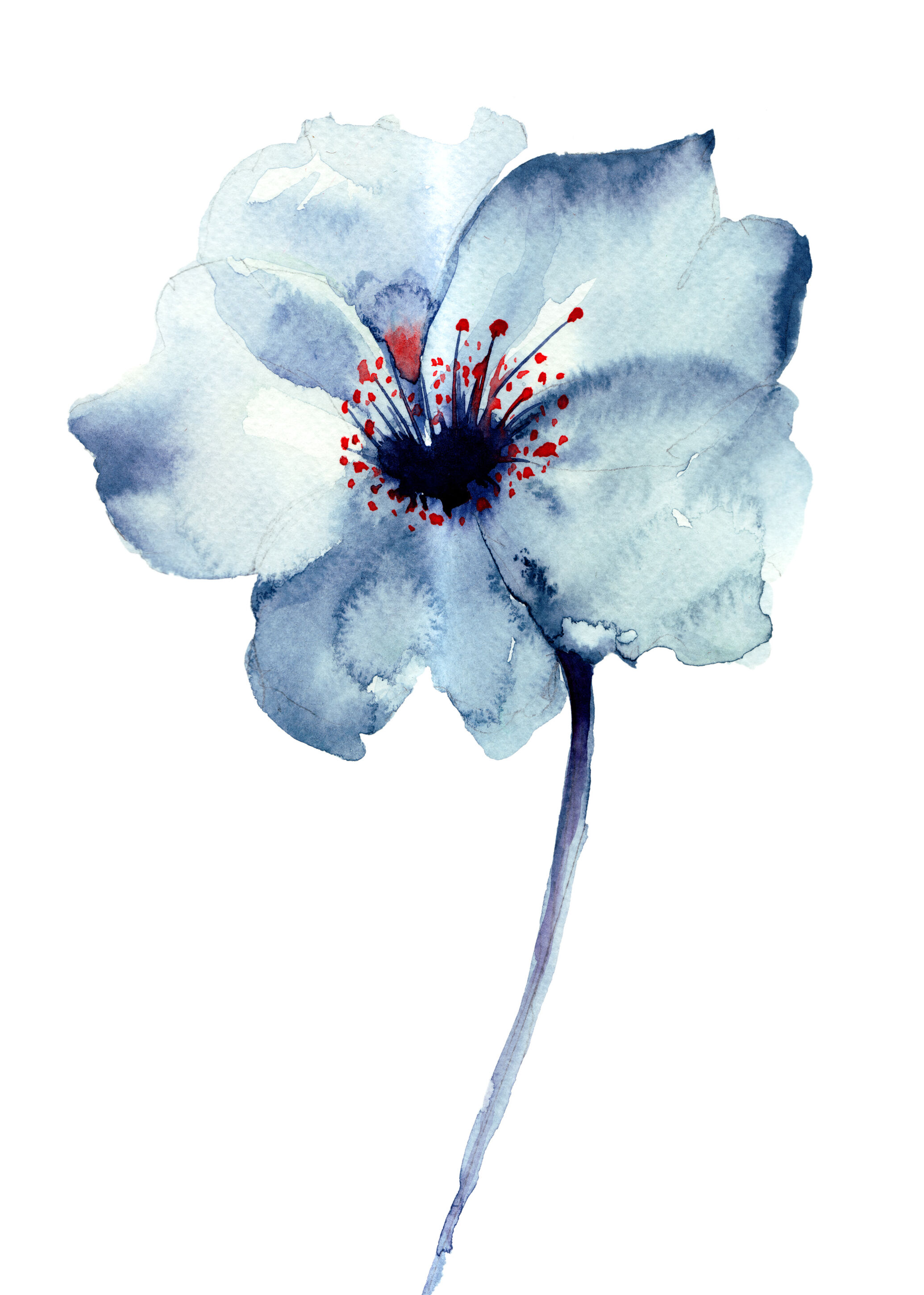 Lagervaror egen produktion Aquarelle Flower - Blue Plakat (30x40 Cm)