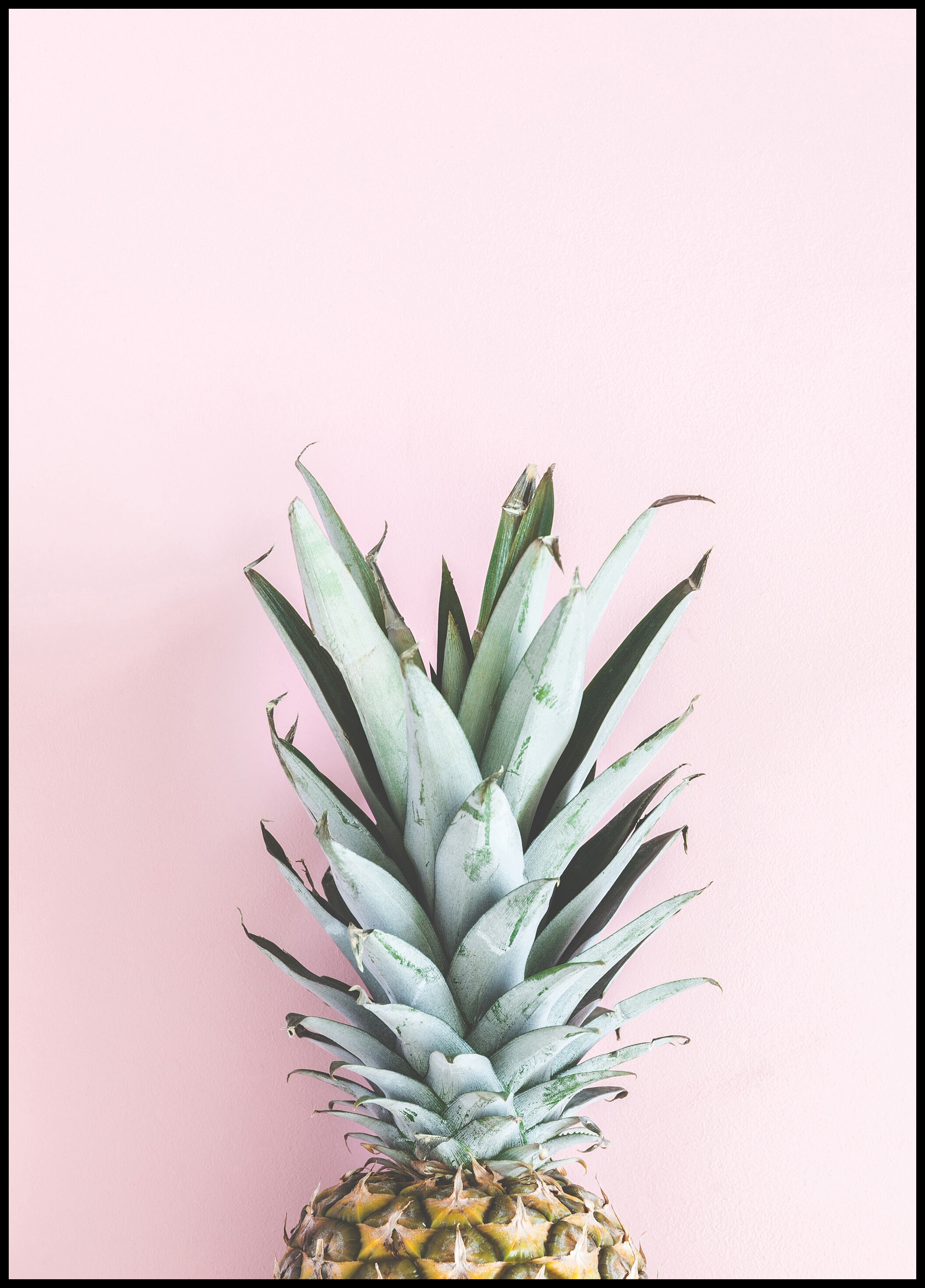 Lagervaror egen produktion Pineapple Pink Plakat (30x40 Cm)