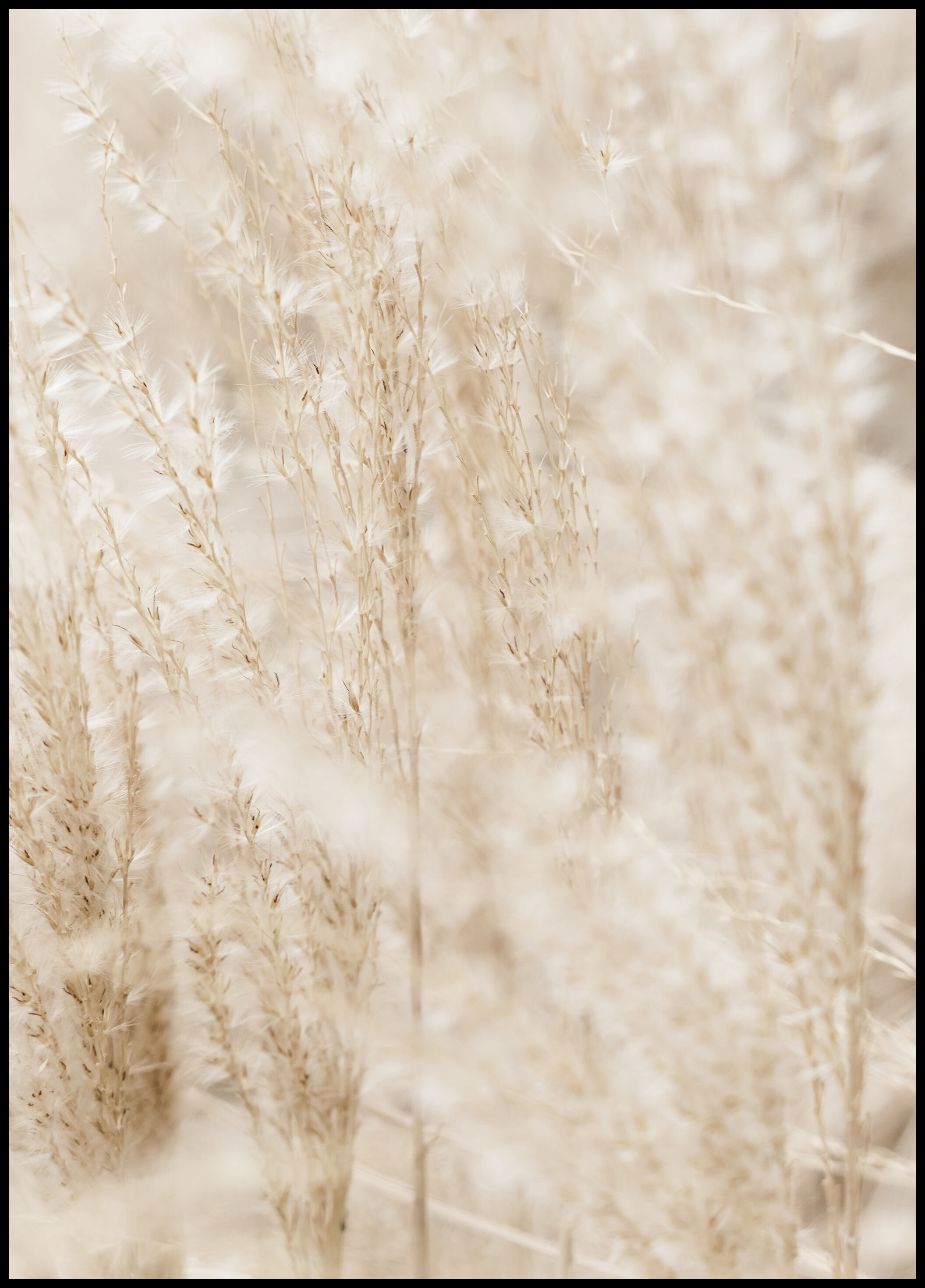 Lagervaror egen produktion Bright Grass Plakat (50x70 Cm)