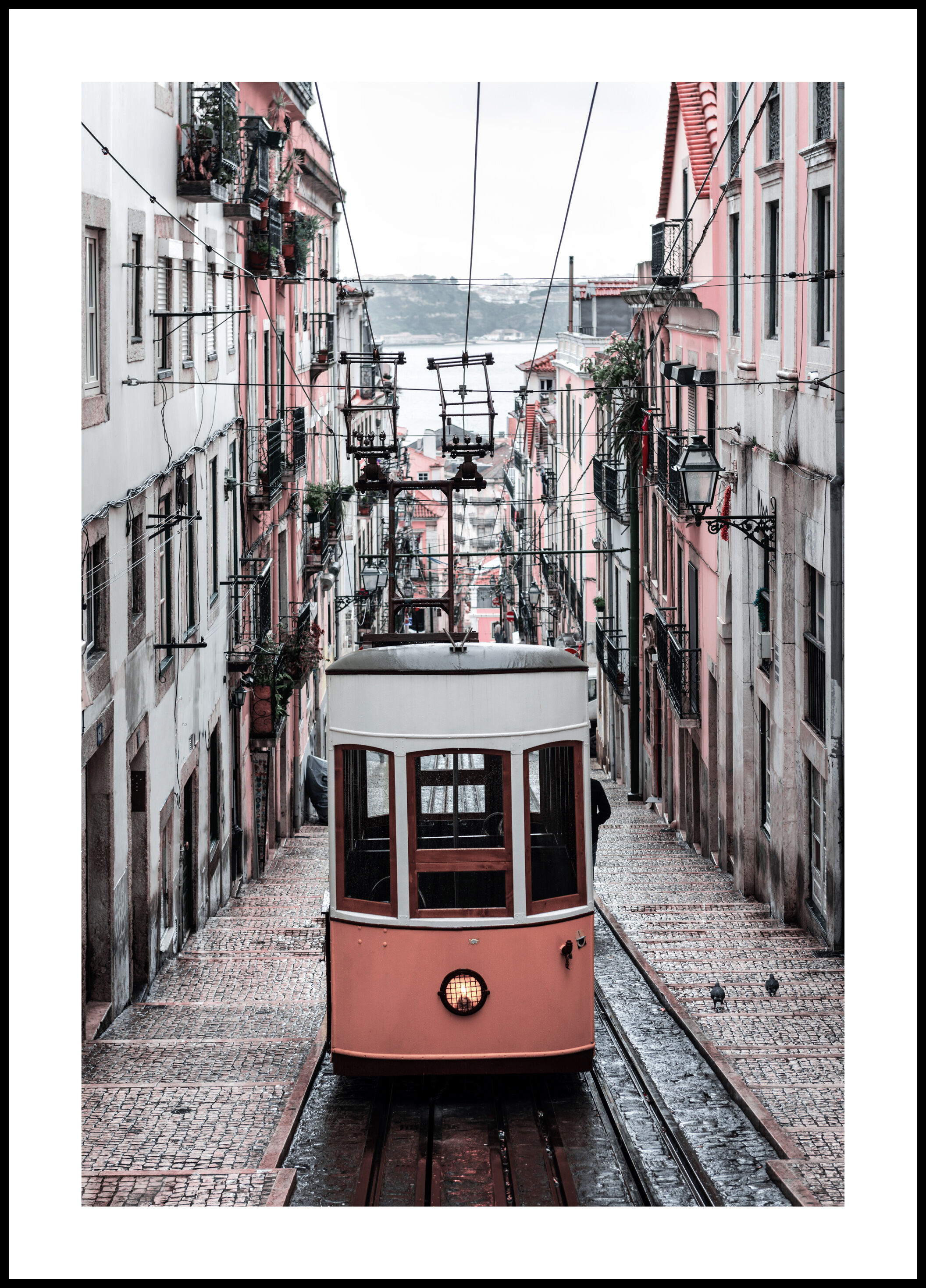 Lagervaror egen produktion Lisbon Cable Car Plakat (50x70 Cm)