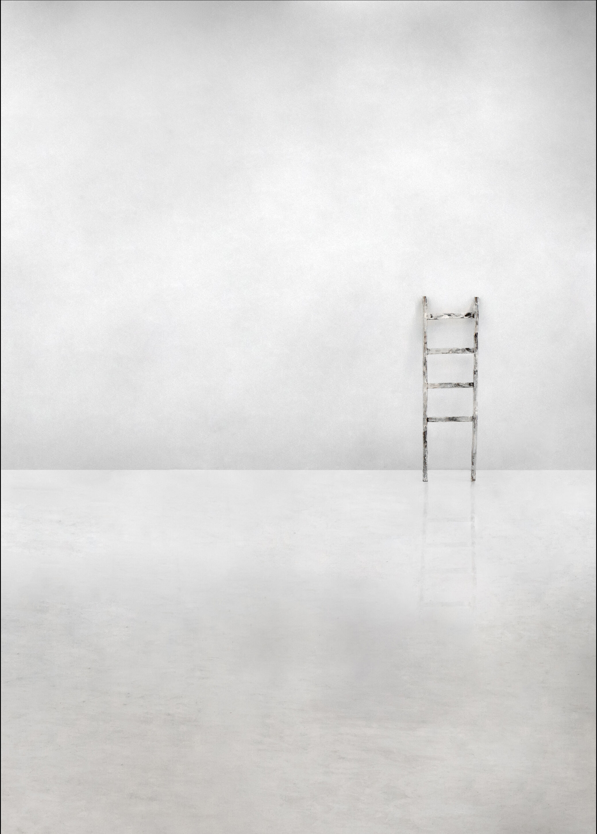 1x The Social Ladder Plakat (50x70 Cm)