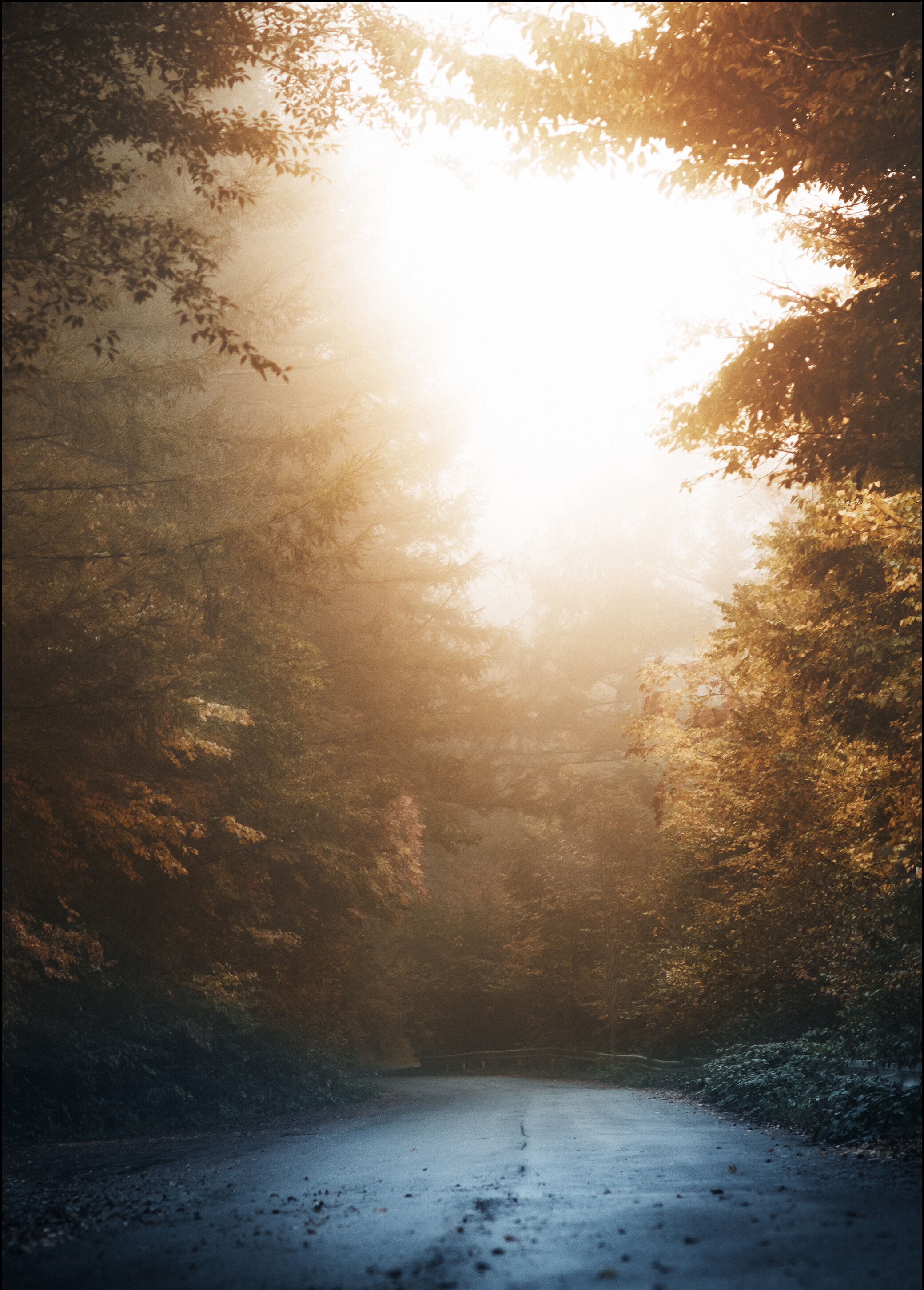 1x Autumn Misty Road Plakat (30x40 Cm)