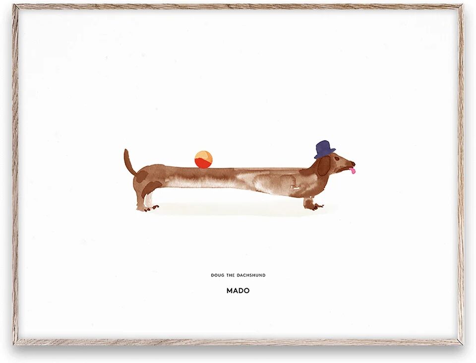 Paper Collective Doug the Dachshund poster 30x40 cm