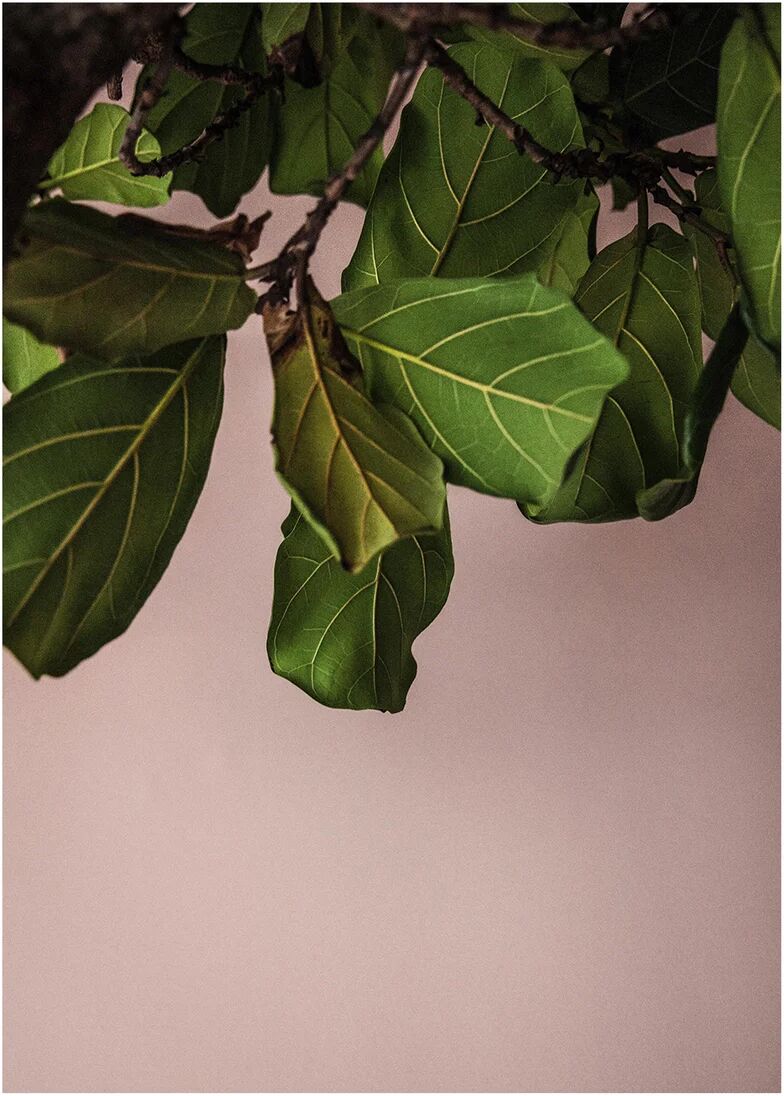 Paper Collective Green Leaves poster 50x70 cm