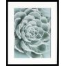 Dekoria Obraz Succulents I 40x50cm - Size: 40x50cm