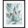 Dekoria Obraz Succulents III 40x50cm - Size: 40x50cm