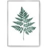 Dekoria Plakat Fern Emerald Green - Size: 50 x 70 cm