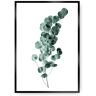 Dekoria Plakat Eucalyptus Emerald Green - Size: 70 x 100 cm