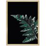 Dekoria Plakat Dark Fern Leaf - Size: 70 x 100 cm