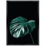 Dekoria Plakat Dark Monstera - Size: 50 x 70 cm