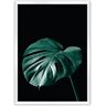 Dekoria Plakat Dark Monstera - Size: 50 x 70 cm