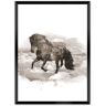 Dekoria Plakat Horse - Size: 70 x 100 cm