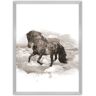 Dekoria Plakat Horse - Size: 70 x 100 cm