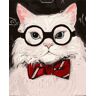 Twoje Hobby Malowanie po numerach 40x50 Kot w okularach