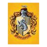 Obraz Na Płótnie Harry Potter Hufflepuff Żółty