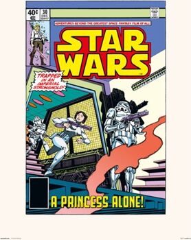 Star Wars Print 30X40 Cm 30 A Princess Alone