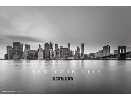 Erik Editores Poster Nueva York City Skyline