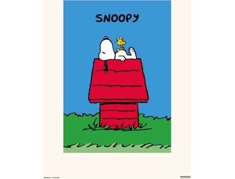 Snoopy Print 30X40 cm Doghouse