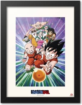 Dragon Print 30X40 cm Dragon Ball Team