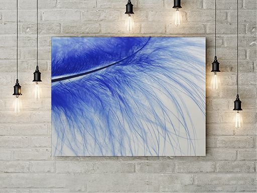 Tablou Canvas Blue Feather