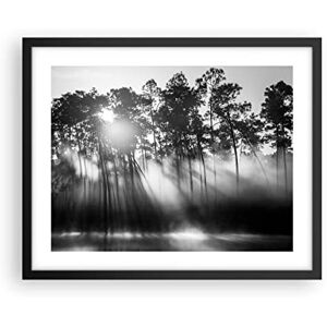 ARTTOR Poster Black Frame 50x40cm Forest Pine Sun Poster Print Pictures for Walls Home DecorPrinted Modern Artwork Wall Art Decoration Framed Living Room Bedroom Kitchen Photo Gallery P2BAA50x40-4829