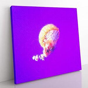 Big Box Art Jellyfish Modern Canvas Wall Art Print Ready to Hang, Framed Picture for Living Room Bedroom Home Office Décor, 50x50 cm (20x20 Inch)