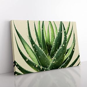Big Box Art Angelical Aloe Vera Plant Canvas Wall Art Print Ready to Hang, Framed Picture for Living Room Bedroom Home Office Décor, 50x35 cm (20x14 Inch)