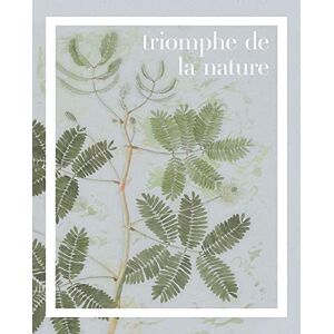 Komar Wall Picture - Triomphe de la Nature - Size: 40 x 50 cm - Poster, Art Print, Decoration, Living Room, Bedroom