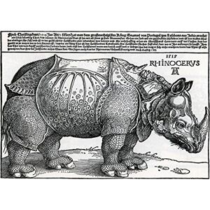 Exquisite Artz Albrecht Durer: Rhinoceros. Fine Art Print/Poster. Size A4
