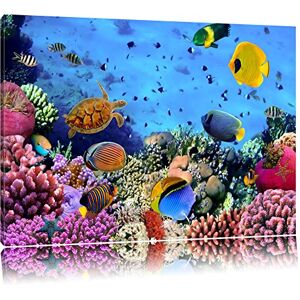 Pixxprint Colorful fish over coral reef canvas, XXL huge Pictures completely framed with stretcher, Art print on wall picture with frame, cheaper than oil paintings and picture, no poster or poster size: 60x40 cm