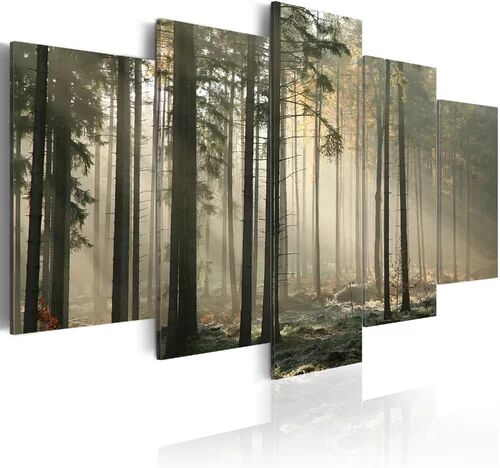 Ebern Designs 'Light in a Dark Forest' - 5 Piece Unframed Photograph Print on Canvas Ebern Designs Size: 50cm H x 100cm W  - Size: 197cm H X 198cm W X 198cm D