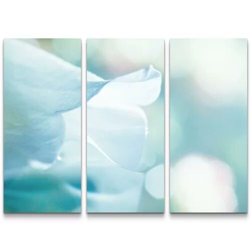 East Urban Home White Flower Close Up 3 Piece Print Set on Canvas East Urban Home  - Size: Mini (Under 40cm High)