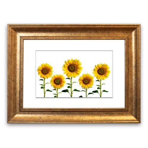 East Urban Home 'Sunflower Mayhem' - Picture Frame Photograph Print on Paper East Urban Home Size: 50cm H x 70cm W x 1cm D, Frame Option: Teak  - Size: 93cm H x 126cm W x 1cm D