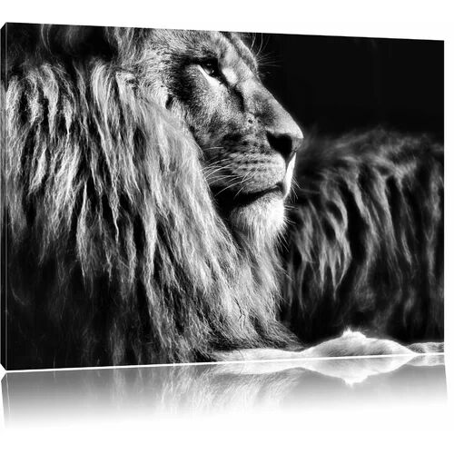 East Urban Home Majestic Proud Lion in Monochrome Wall Art on Canvas East Urban Home Size: 70cm H x 100cm W  - Size: 80 cm H x 120 cm W
