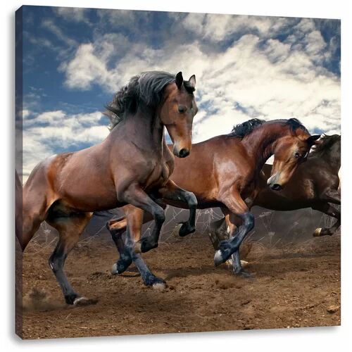 East Urban Home Wild Free Horses Art Print on Canvas East Urban Home  - Size: 60cm H x 60cm W