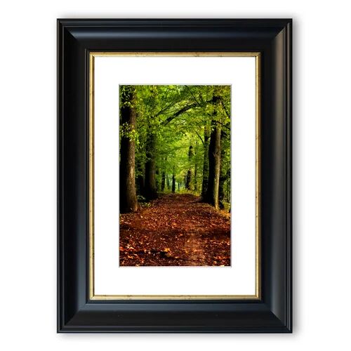 East Urban Home 'Woodland Walk 1 Cornwall' - Picture Frame Photograph Print on Paper East Urban Home Size: 126cm H x 93cm W x 1cm D, Frame Option: Matte Black  - Size: 93cm H x 70cm W x 1cm D